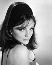 JACQUELINE BISSET PRINTS AND POSTERS 186568
