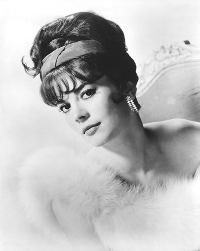 Natalie Wood Posters and Photos 186417 | Movie Store