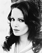JACLYN SMITH PRINTS AND POSTERS 18229
