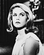 ELIZABETH MONTGOMERY PRINTS AND POSTERS 18095