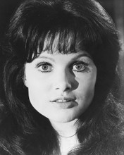 MADELINE SMITH PRINTS AND POSTERS 180239