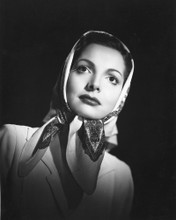 ELIZABETH SELLARS PRINTS AND POSTERS 180204