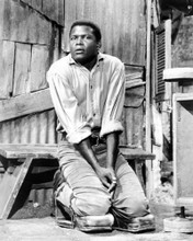 SIDNEY POITIER PRINTS AND POSTERS 180089
