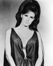 RAQUEL WELCH PRINTS AND POSTERS 179969