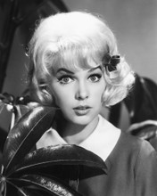 STELLA STEVENS PRINTS AND POSTERS 179945
