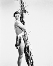 JOHNNY WEISSMULLER HUNKY TARZAN PRINTS AND POSTERS 17994