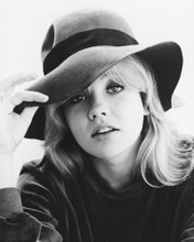 HAYLEY MILLS PRINTS AND POSTERS 179867