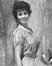 SOPHIA LOREN SEXY SMILING POSE 1950'S PRINTS AND POSTERS 179779