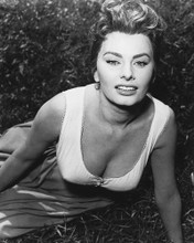 SOPHIA LOREN BUSTY PRINTS AND POSTERS 179778