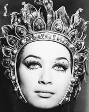 VALERIE LEON BLOOD FROM THE MUMMYS TOMB PRINTS AND POSTERS 179746