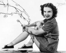 JUDY GARLAND RARE LEGGY PRINTS AND POSTERS 179588