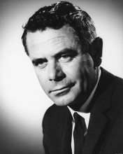 GLENN FORD MID 50'S PORTRAIT PRINTS AND POSTERS 179562