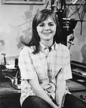 SALLY FIELD PRINTS AND POSTERS 179547