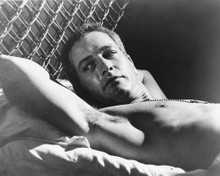 PAUL NEWMAN BARECHESTED ON BED COOL HAND LUKE PRINTS AND POSTERS 179331
