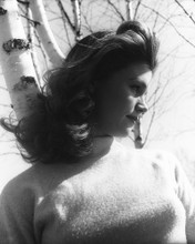 LEE REMICK PRINTS AND POSTERS 179011