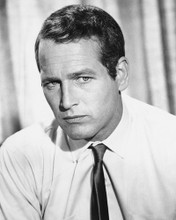 PAUL NEWMAN SHIRT & TIE PUBLICITY PRINTS AND POSTERS 178978