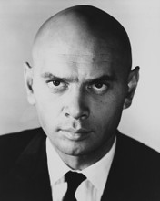 YUL BRYNNER PRINTS AND POSTERS 178892