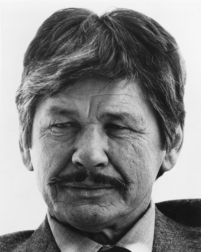 Charles Bronson Posters and Photos 178880 | Movie Store