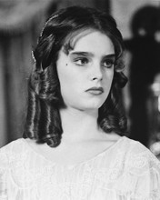 BROOKE SHIELDS PRINTS AND POSTERS 178738