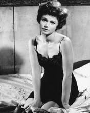 LEE REMICK BUSTY PRINTS AND POSTERS 178716