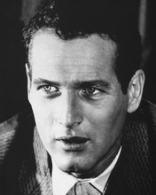 THE HUSTLER PAUL NEWMAN PRINTS AND POSTERS 178702