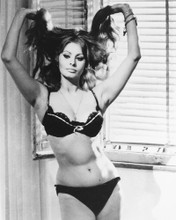 SOPHIA LOREN SEXY POSE IN LINGERIE PRINTS AND POSTERS 178668