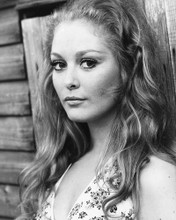 JENNY HANLEY SCARS OF DRACULA PRINTS AND POSTERS 178609