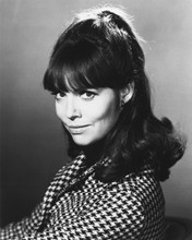 Barbara Feldon Photo and Poster Gallery Movie Store