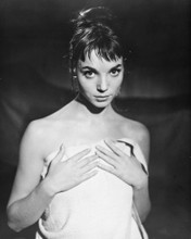 ELSA MARTINELLI PRINTS AND POSTERS 178295