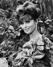 GILLIGAN'S ISLAND TINA LOUISE IN BUSHES PRINTS AND POSTERS 178116