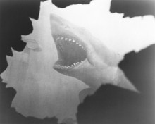 JAWS SHARK PRINTS AND POSTERS 177952