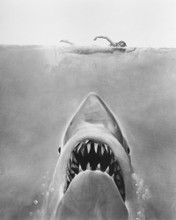 JAWS SHARK & SWIMMER PRINTS AND POSTERS 177948