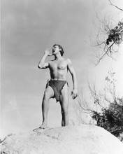 JOHNNY WEISSMULLER HUNKY TARZAN PRINTS AND POSTERS 17678