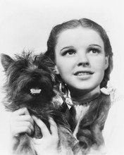 THE WIZARD OF OZ JUDY GARLAND TOTO PRINTS AND POSTERS 176607