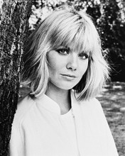 GLYNIS BARBER PRINTS AND POSTERS 1766