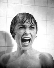 PSYCHO JANET LEIGH SHOWER SCREAM PRINTS AND POSTERS 176585