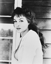JULIE NEWMAR PRINTS AND POSTERS 17642