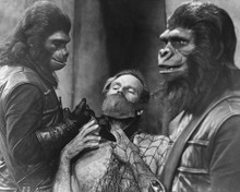 PLANET OF THE APES PRINTS AND POSTERS 176383