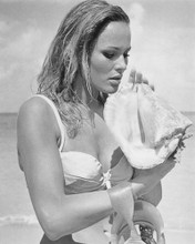 DR NO URSULA ANDRESS HOLDING SHELL PRINTS AND POSTERS 176331