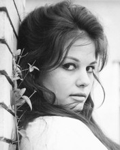 CLAUDIA CARDINALE 60'S HEAD SHOT PRINTS AND POSTERS 176177