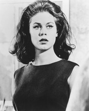 ELIZABETH MONTGOMERY PRINTS AND POSTERS 175773