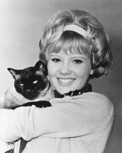 HAYLEY MILLS PRINTS AND POSTERS 175767