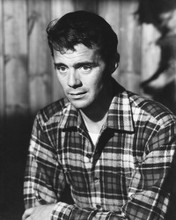 DIRK BOGARDE IN CHECK SHIRT LATE 50'S PRINTS AND POSTERS 175661