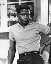 SIDNEY POITIER PRINTS AND POSTERS 175545