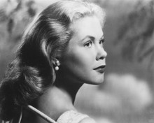 ELIZABETH MONTGOMERY PRINTS AND POSTERS 175510