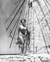 CLAUDIA CARDINALE PRINTS AND POSTERS 175349