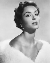 DANA WYNTER BARE SHOULDERED GLAMOUR PRINTS AND POSTERS 174958