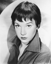 SHIRLEY MACLAINE PRINTS AND POSTERS 174891