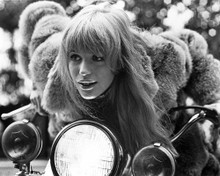 MARIANNE FAITHFULL, THE GIRL ON A MOTOCYCLE PRINTS AND POSTERS 174622