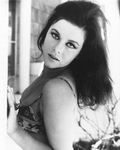 ANN-MARGRET PRINTS AND POSTERS 174532